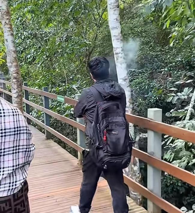 游客摇树致懒猴坠落 景区回应 懒猴状况正常