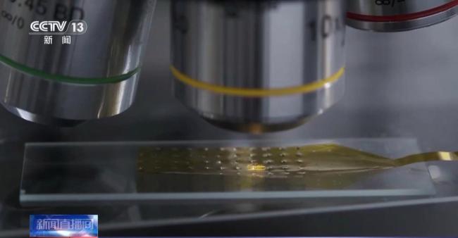 当脑机接口走入生活 会为我们带来哪些新可能？