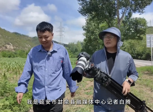 黄土高原惊现鸟中大熊猫 悬崖之巅的守望！