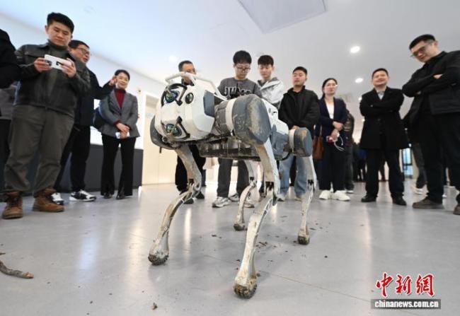 科技“新秀”机器人在“浙”里显身手 多场景应用展现未来可能性