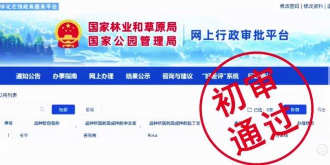 宝华月季通过国家林草局初审 网友征名成果显著