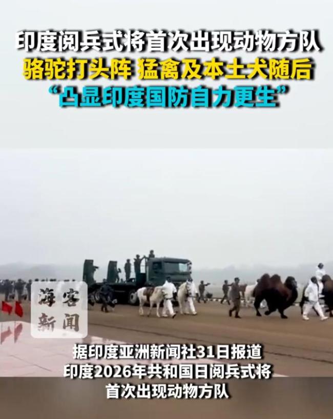 印度阅兵式将首次出现动物方队