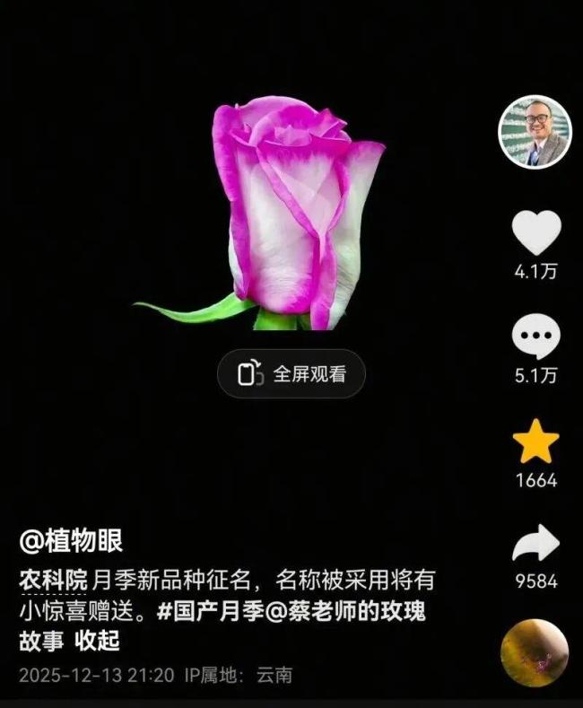 用二舅“宝华”命名的月季初审通过 网友热议背后的故事