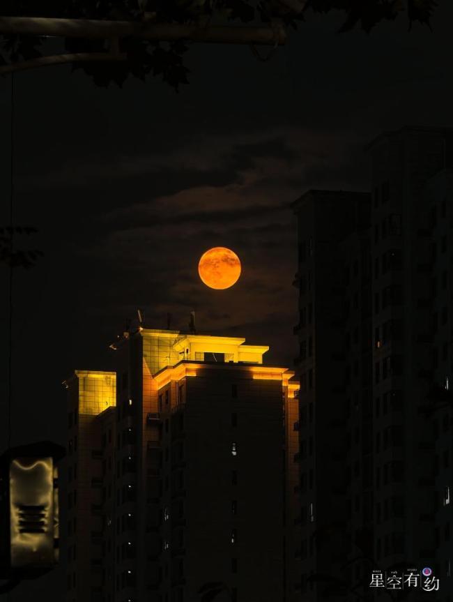 2026首个“超级月亮”现身夜空 赏月拍照好时机
