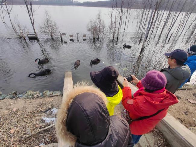 北京:西郊雨洪调蓄工程迎来黑天鹅 城区水环境持续向好