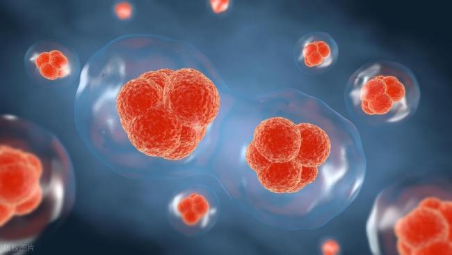 体检报告出现这几个字别慌 读懂身体的信号