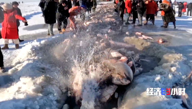 “冷资源”破圈生长 万亿赛道迸发消费新动能