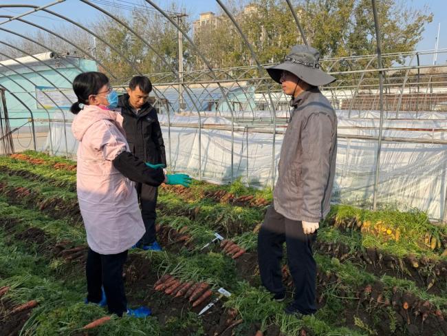 习近平总书记关切事·嘱托|沃野兴农人的丰收密码