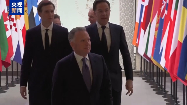 媒体:“意愿联盟”援乌承诺落实难 现实与设想存落差