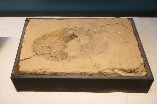 古人怎么做三九寒冬这道题 火衣食御寒智慧