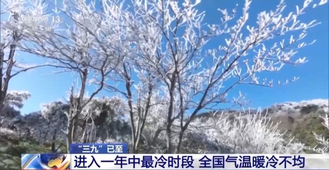 “三九”已至 进入一年最冷时段 气温有啥特点?