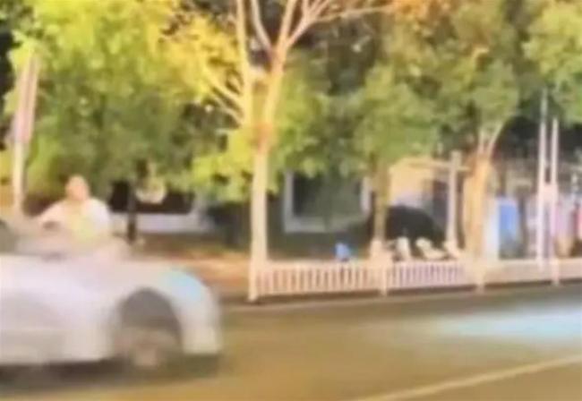 一家三口被撞身亡 事发前正筹备孩子周岁宴 悲剧发生前的温馨准备