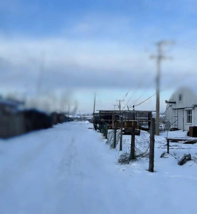 一个985博士的十年滑落 时代窗口关闭后的迷茫