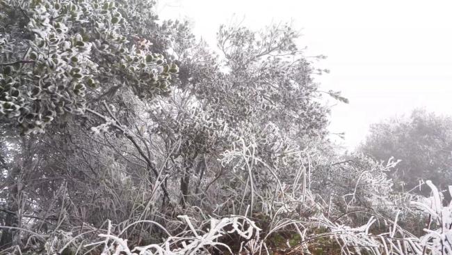 盘州老黑山冰雪晶莹宛如仙境 冬日独特风景