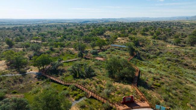 习近平总书记关切事·嘱托|生态守护者的绿色画卷