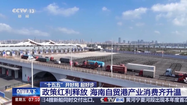 企業投資熱、發展機遇多 海南自貿港產業消費升溫