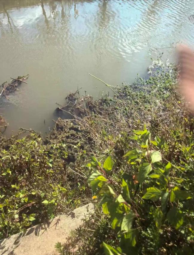 云南61岁老妇杀害13岁男孩 贪小利酿悲剧