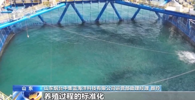 上百萬尾魚苗跨越山海 “藍(lán)色糧倉”加速豐盈