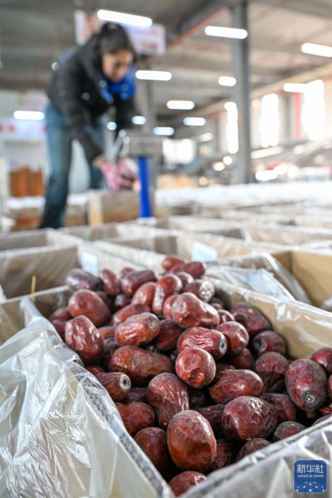 新春“疆”味浓 云端快车道助农增收