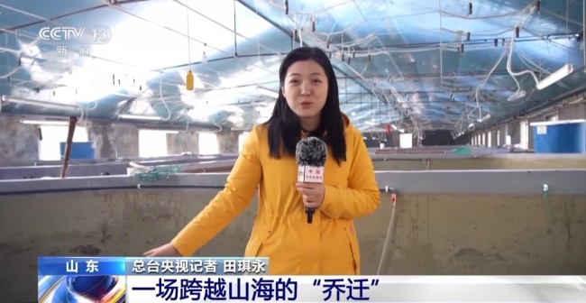 上百萬尾魚苗跨越山海 “藍色糧倉”加速豐盈