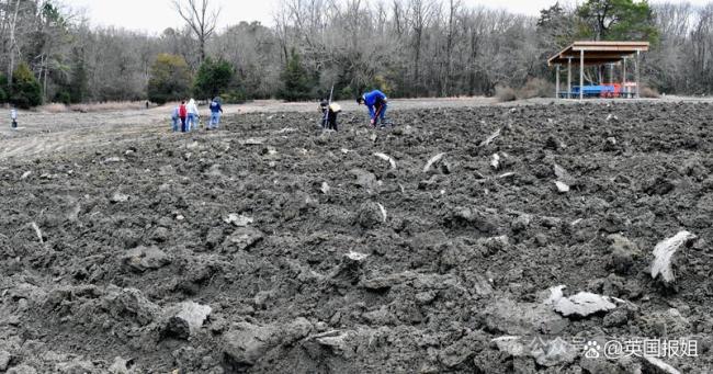 男子按SIRI建议挖出2克拉钻石 意外之喜引发热议