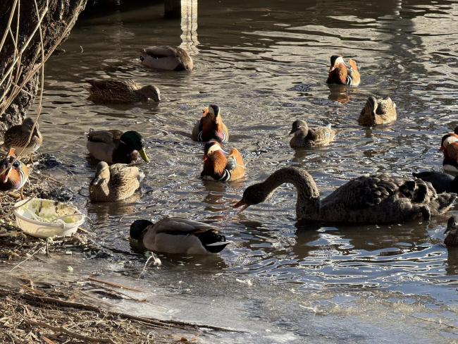 北京：风力减弱，户外晴好！京城风光，美不胜收 蓝天如洗景色宜人