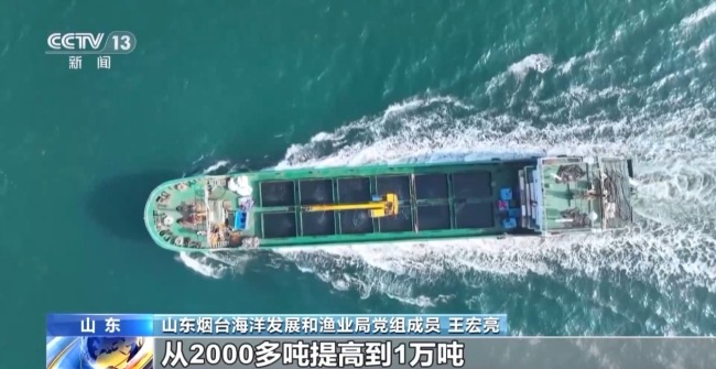 上百万尾鱼苗跨越山海 “蓝色粮仓”加速丰盈