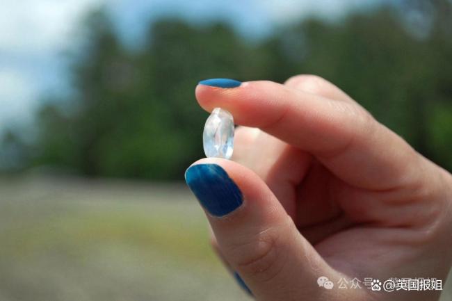 男子按SIRI建议挖出2克拉钻石 意外之喜引发热议