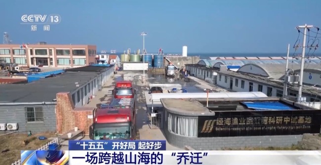 上百万尾鱼苗跨越山海 “蓝色粮仓”加速丰盈