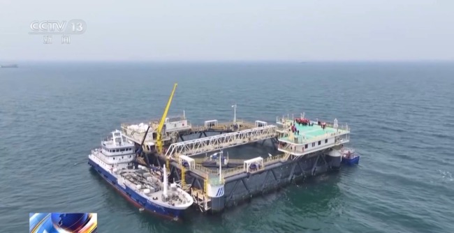 上百万尾鱼苗跨越山海 “蓝色粮仓”加速丰盈