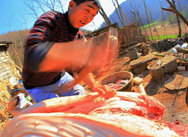 女子撒英雄帖网友赴约杀年猪 唤醒沉睡的年味