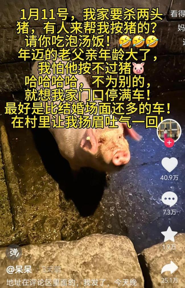 合川文旅：忙了一年流量不如两只猪 民间热点引爆全网