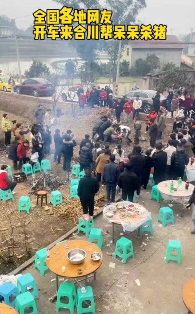 请网友帮按猪女生称今天只吃饭不按猪 两千人连夜堵门求参与