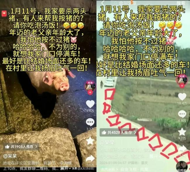 求助视频意外“闯祸”制造泼天流量 千人乡村盛宴引发热议