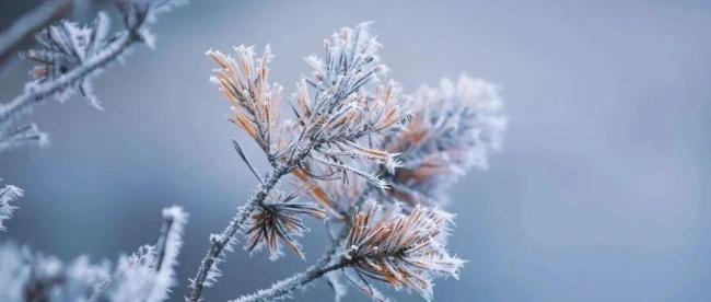 三九为何这么热 气温逼近20℃