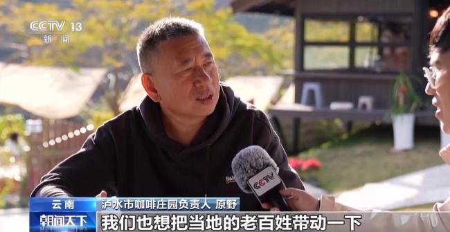走出大山 云南咖啡何以從“紅果”走向“紅火”？