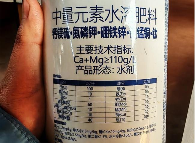 车厘子买回家后怎么保鲜 揭秘保鲜背后的科技