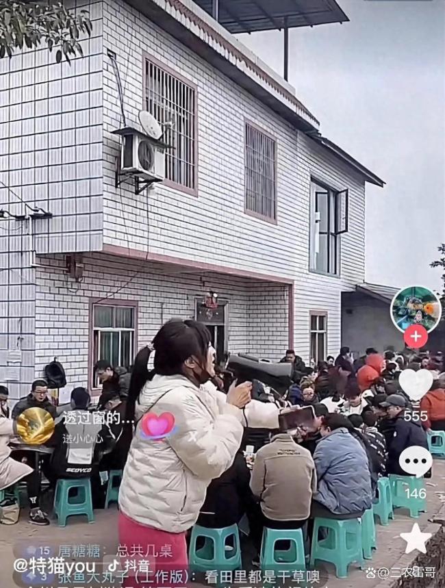 女子求助杀年猪10万网友在线围观 全民年味嘉年华