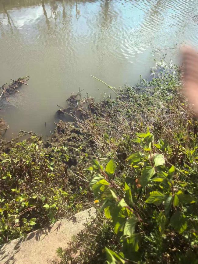 老妇杀害男孩法院判了 死刑判决引发争议