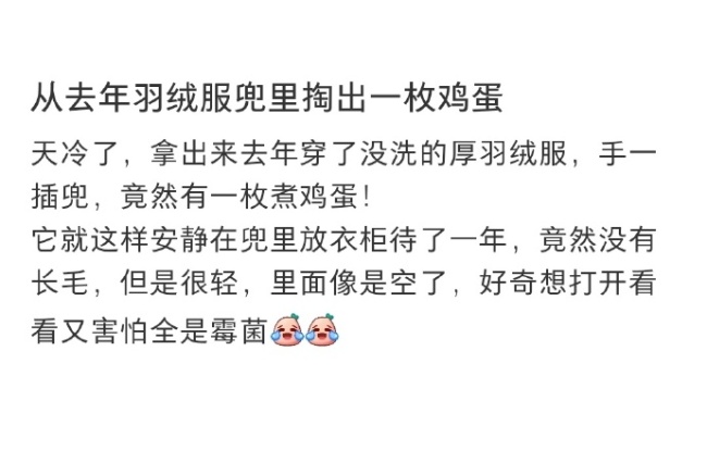 从去年羽绒服兜里掏出了一枚鸡蛋后...