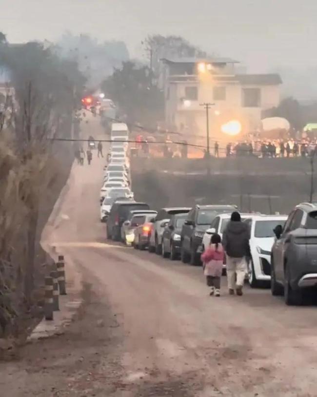 女生网上求助“按年猪”后续 乡村嘉年华引爆全网热情