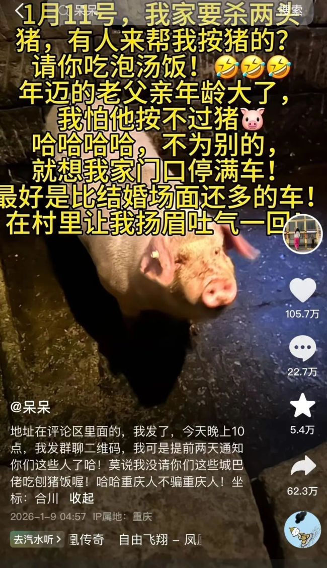 “摇人按猪”为什么火了