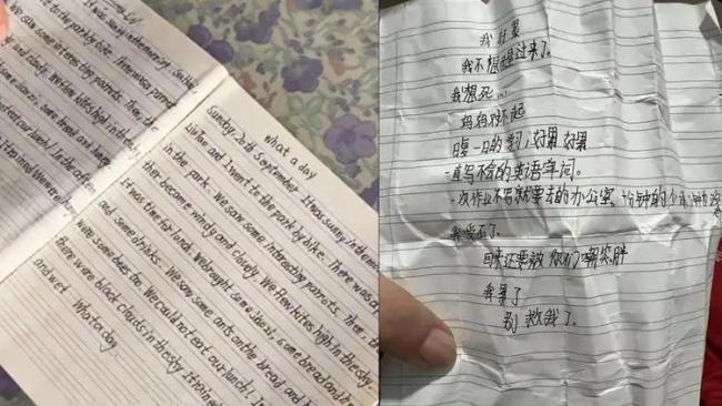 江苏12岁小学生家中自杀后续