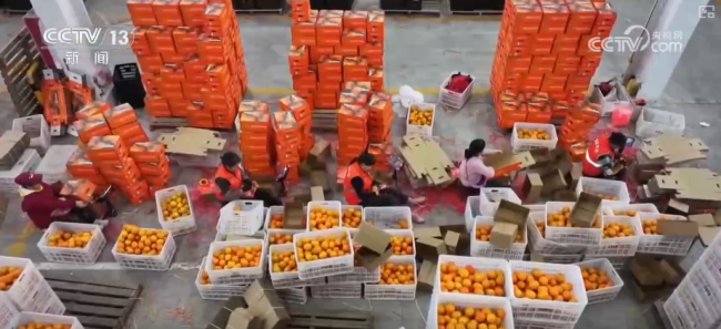 “数字+农业”助推特色农产品“出圈”