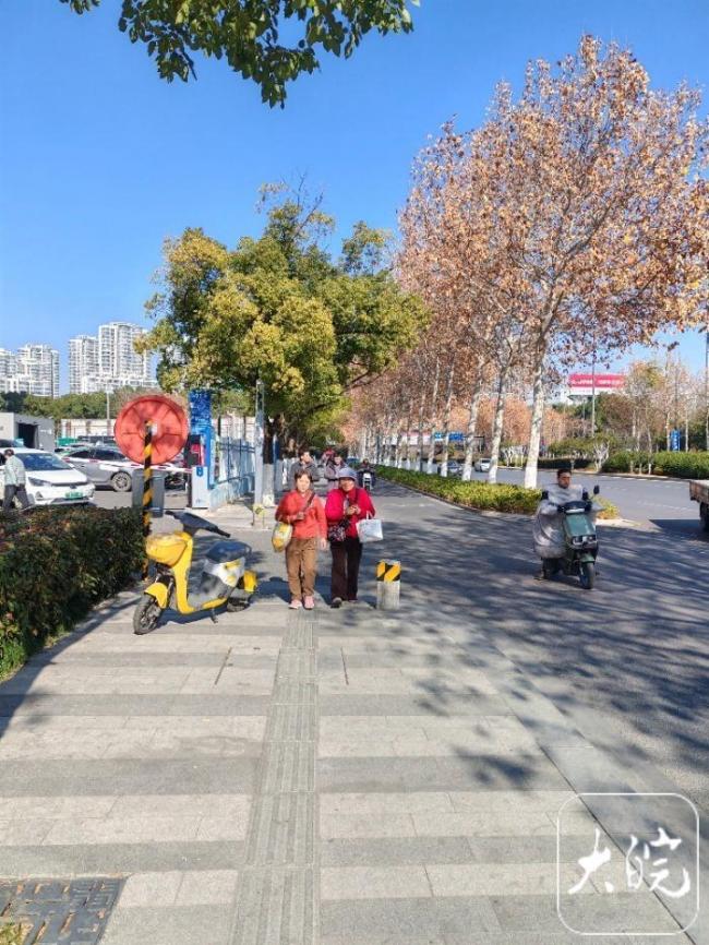 今冬是暖冬吗?专家:没那么简单