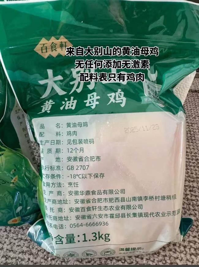 “与辉同行
