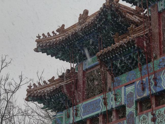 北京傍晚的雪如约而至 京城多地银装素裹