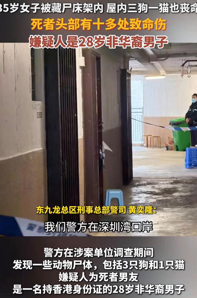 香港床底藏尸案现场还有3狗1猫尸体