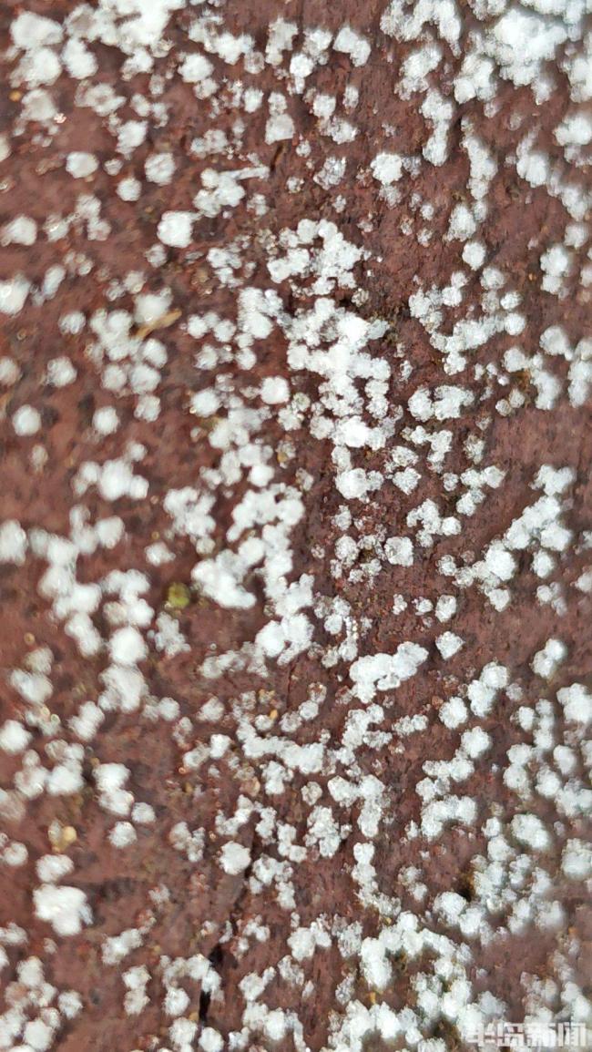 青岛地面的小冰晶是“霰”