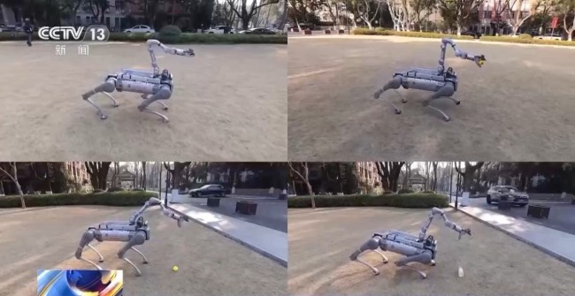 能动起来→能用起来 杭州具身智能产业跨越应用关